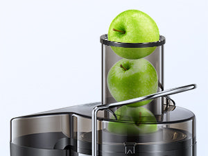 MixZen 800W Stainless Steel Juicer