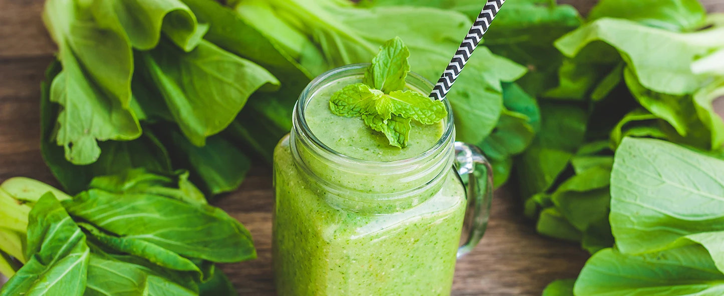 MixZen 2200W Commercial Power Blender